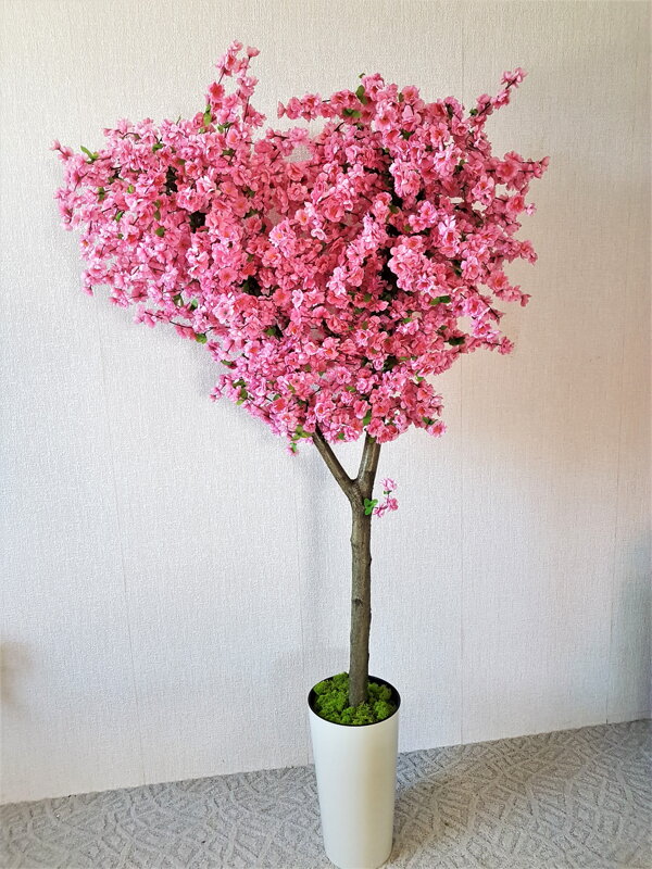 Kvetoucí strom- sakura 160 cm