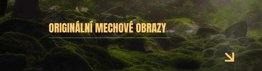 mechové obrazy