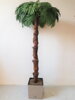 Umělá palma tmavá s kůrou- 180 cm