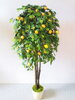 Umělý strom- Citronovník 160cm