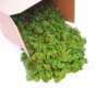 Stabilizovaný finský mech 250g - May Green 
