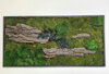 Mechový obraz-lesní + provence mech a kůra 50cm x 100cm