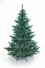 Jedlička stříbrná 150cm