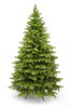 Borovice Limba 255cm- 100% 3D