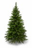 Smrek premium 100% 3D- 200cm