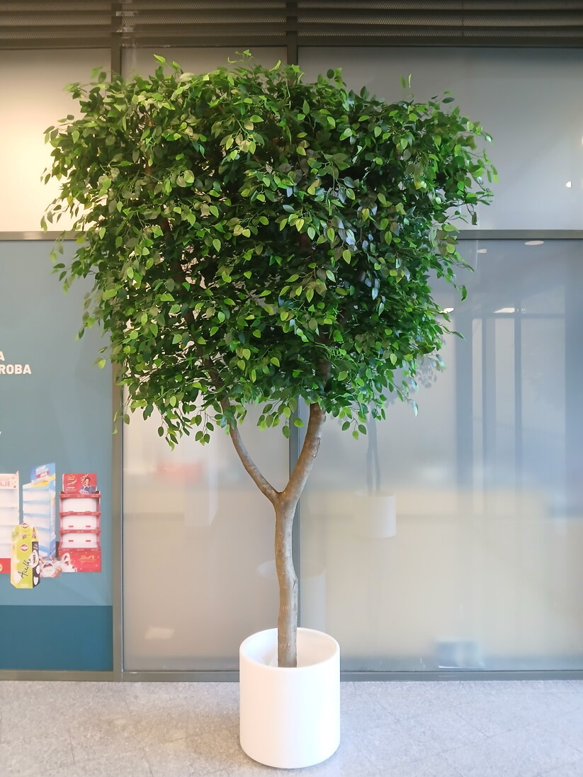 Umělá zeleň na míru pro retail & hotel & kavárna