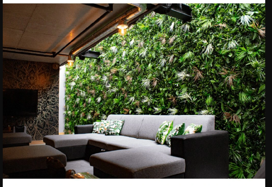 Umělé vs. živé rostliny: Které jsou lepší?