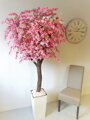 Kvetoucí strom- Japonská třešeň 180 cm