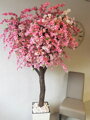 Kvetoucí strom- Japonská třešeň 180 cm