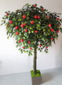 Jabloň košatá 220 cm 