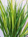 Umelá tráva dracena 65cm 