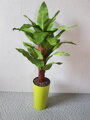 Umělá rostlina- Banánovník 110cm