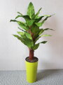 Umělá rostlina- Banánovník 110cm