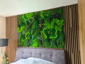 Exkluzivní mechový obraz s rostlinami 200cm x 100cm