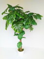 Umělá rostlina- Monstera 160cm 