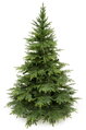 Smrek Kaukazský 3D- 220cm