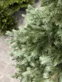 Smrk Stříbrný 100% 3D-200cm