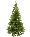 Jedlička Tatiana 220cm 