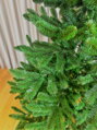 Jedlička Tatiana 220cm 
