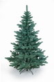 Jedlička stříbrná 220cm