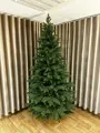Jedle Tatranská 100% 3D- 260cm