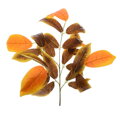 Umělý list - Mango podzimní 70cm