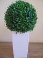 Buxus koule v květináči 35cm