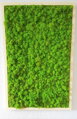 Stabilizovaný finský mech 4kg - May Green 