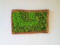 Mechový obraz 50cm x 75cm