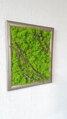 Mechový obraz 48 cm x 38 cm
