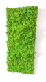 Mechový panel 120 cm x 60 cm