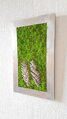 Mechový obraz se šiškami a kůrou 50cm x 30cm