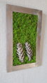Mechový obraz se šiškami a kůrou 50cm x 30cm