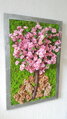 Mechový obraz s květem 90cm x 55cm 