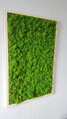 Mechový obraz v dřevěném rámu 100cm x 65cm