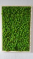 Mechový obraz v dřevěném rámu 100cm x 65cm