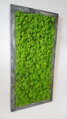 Mechový obraz v patinovaném rámu 80 cm x 30 cm