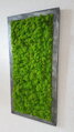 Mechový obraz v patinovaném rámu 80 cm x 30 cm