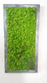 Mechový obraz v patinovaném rámu 80 cm x 30 cm