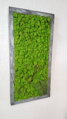 Mechový obraz v patinovaném rámu 80 cm x 30 cm