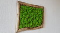 Mechový obraz v asymetrickém rámu 40cm x 30cm