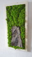 Lišejníkový obraz s přírodní kůrou 100cm x 30cm