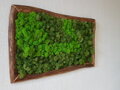 Mechový obraz 50cm x 75cm
