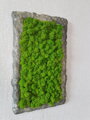 Mechový obraz s atypickým rámem 50 cm x 35 cm