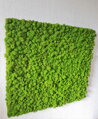 Mechový panel 90cm x 100cm 