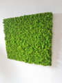 Mechový panel 90cm x 100cm 
