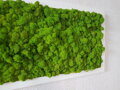 Mechový obraz 40cm x 80cm 