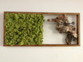 Mechový obraz s přírodním dřevem 40cm x 85cm