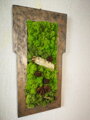 Mechový obraz s atypickým tvarem rámu 70cm x 37cm