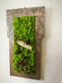 Mechový obraz s atypickým tvarem rámu 70cm x 37cm